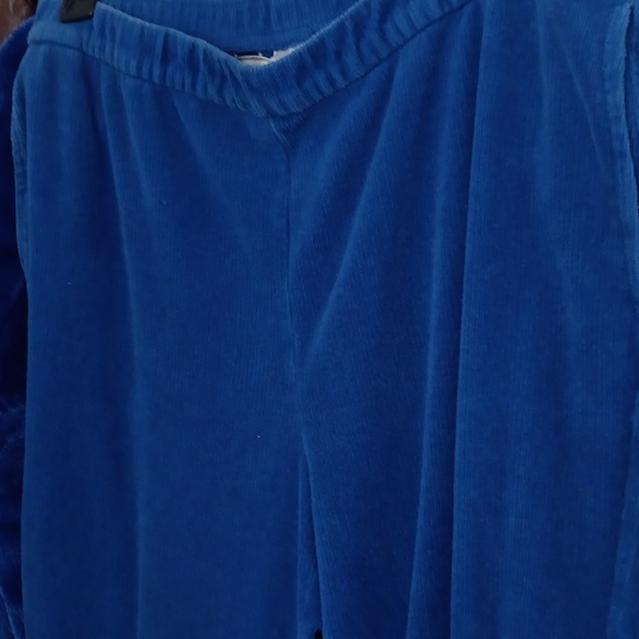 Allison Daily pants sz 14, a deep blue color. - Picture 2 of 3